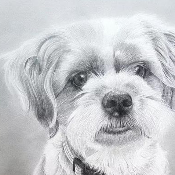 # Professional Dog Portraits Wynberg