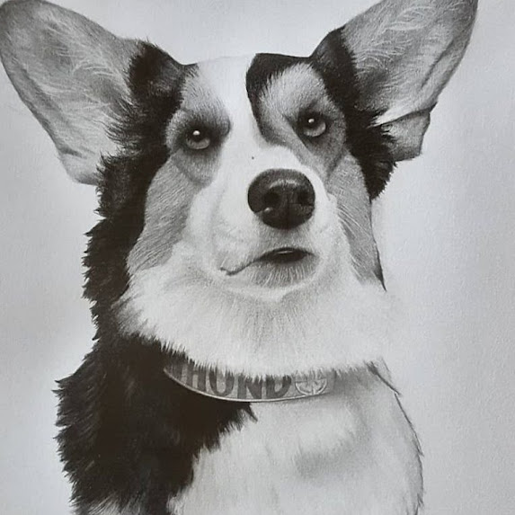 # Professional Dog Portraits The Reeds. 