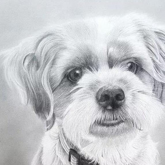 # Professional Dog Portraits Croydon