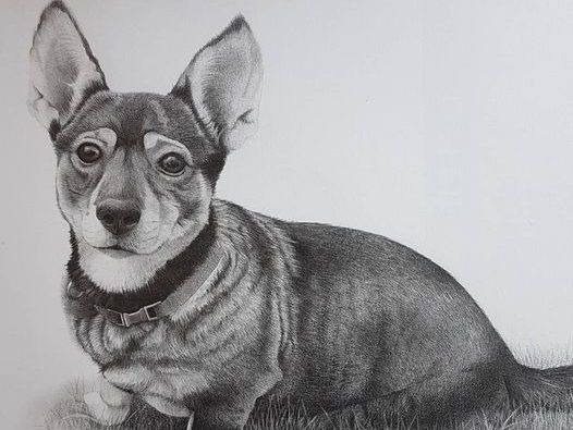 Custom Pet Art Drawingr South Africa